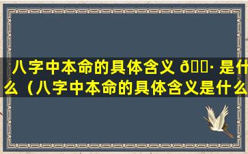 八字中本命的具体含义 🌷 是什么（八字中本命的具体含义是什么意思）